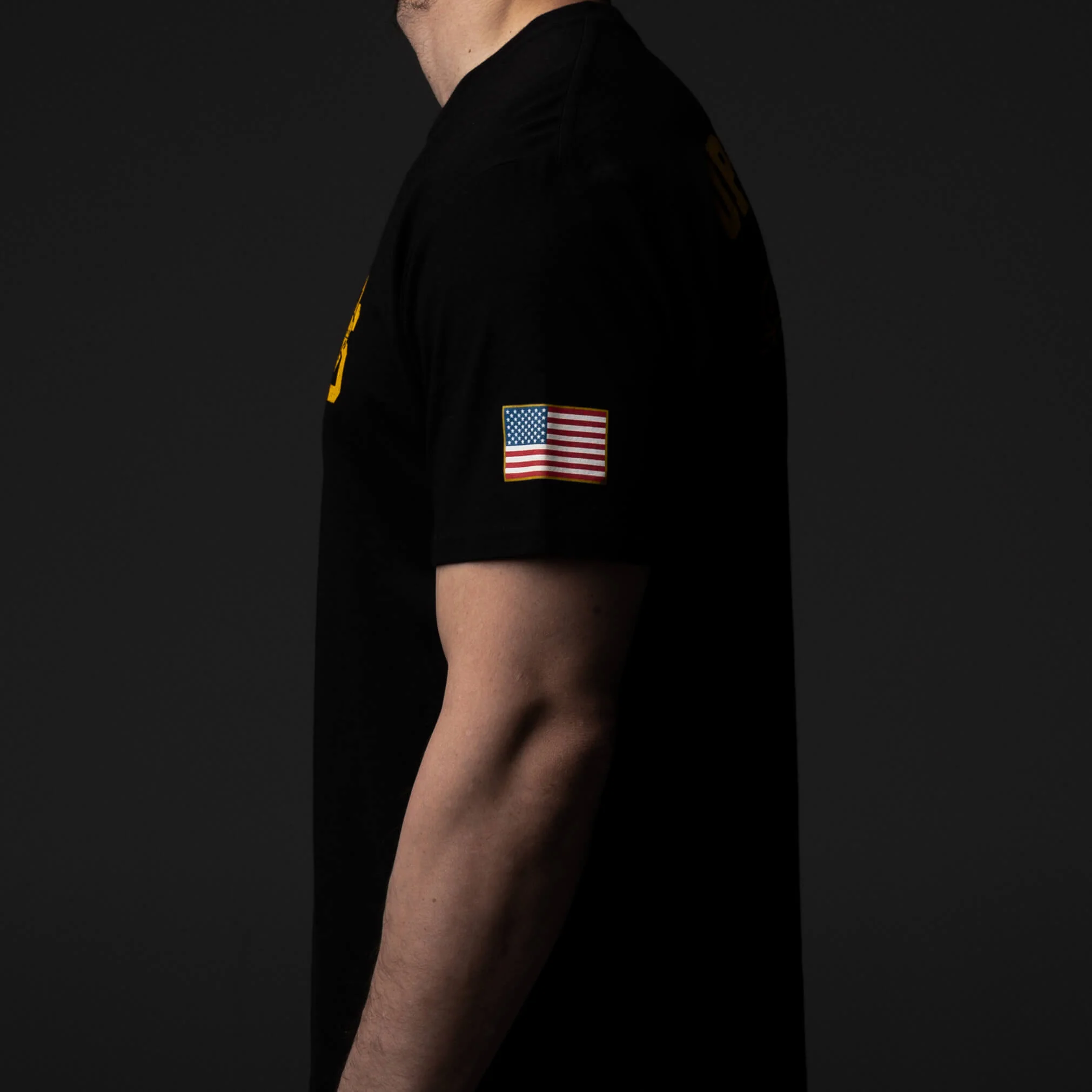 Gold Tier T-Shirt - Image 3